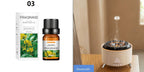 White Noise Flame Aroma Diffuser Desktop Humidifier